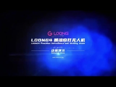 LOONG4 Pxecision Surveillance And Striking Drone